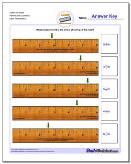 Inches on Ruler Halves and Quarters 2 Worksheet