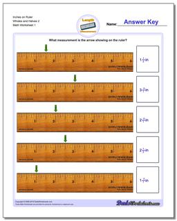 Inches Measurement Worksheet on Ruler Wholes and Halves 2