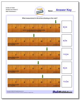 Inches on Ruler Wholes and Halves 2 Worksheet