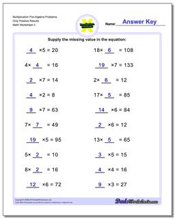 Multiplication Worksheet Pre-Algebra Problems Worksheet Only Positive Results